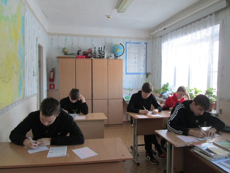 Конкурс " Кенгуру".